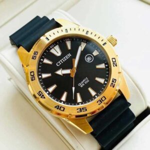 Đồng hồ BI1043 01E